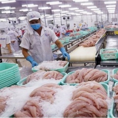 Cá tra Việt Nam và hành trình khẳng định chỗ đứng tại thị trường nội địa