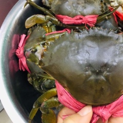 Ngành hàng cua Cà Mau – tiềm năng và thách thức