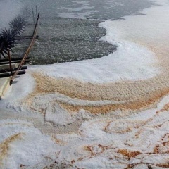 Váng bọt khó tan trong ao tôm: Nguyên nhân và cách xử lý