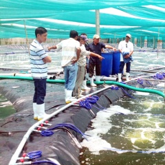 Tác động của Luật Tài nguyên nước mới đến ngành thủy sản Việt Nam