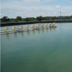 Phân tích màu nước lý tưởng trong nuôi tôm: Chỉ số sức khỏe của ao nuôi