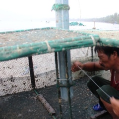 Vết thương sau bão: Bài toán vốn và tái đầu tư của người nuôi tôm Miền Trung