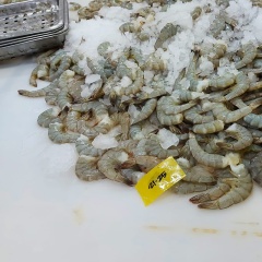 Bê bối tôm nhiễm phóng xạ của Indonesia: Bài học tỷ đô đắt đỏ