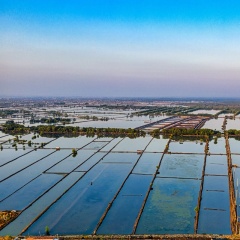 Nuôi trồng thủy sản bền vững với 5 giải pháp