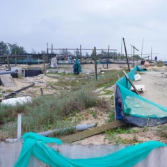 Sạt lở biển đe dọa vùng nuôi ốc hương Mỹ Thủy