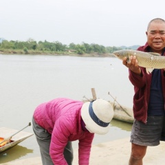 Lặng nhìn ngư dân “bắt lộc trời” trên miền sông Lục Đầu