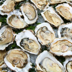 Rủi ro sức khỏe tiềm ẩn từ hàu không rõ phương pháp nuôi trồng