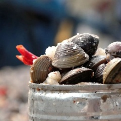 Hến phơi muối ớt: Đặc sản dân dã của “xứ sở thần tiên” An Giang