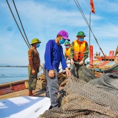 Phải chấm dứt khai thác hải sản IUU trước ngày 15/11/2025