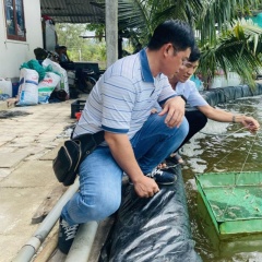 Gia Lai: Cảnh báo nguy cơ tôm sốc môi trường khi thời tiết giao mùa