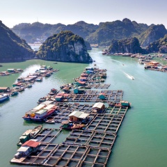 Nuôi biển không kháng sinh: Cuộc "cách mạng" từ con giống để hướng tới thủy sản sạch