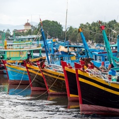 Gia Lai đẩy mạnh tiến độ đăng ký tàu cá và cấp giấy phép khai thác thuỷ sản