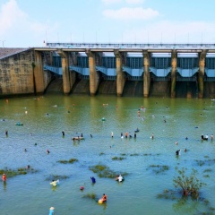Hàng trăm người đổ về hồ Trị An săn cá khủng, có con nặng tới 20kg