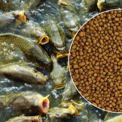 Thức ăn thủy sản