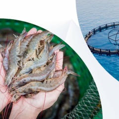 Vietagros 2026: Thúc đẩy xu hướng tiêu dùng xanh