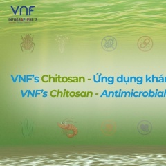 Ứng dụng của Chitosan