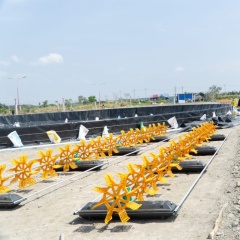 Nhớt bạt ao nuôi tôm, nguyên nhân và cách xử lý