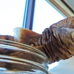 Loài cá mập có đôi môi “cỡ đại” đáng sợ như thế nào?