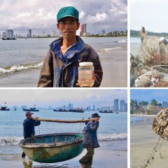 Khai thác tôm hùm