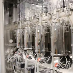 Lò phản ứng sinh học