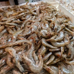 Những thông số bắt buộc phải biết trên nhãn mác thủy sản đóng gói