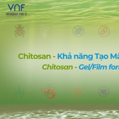 Chitosan