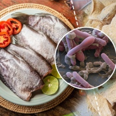 Độc tố “tử thần” có thể ẩn trong món cá ủ chua quen thuộc