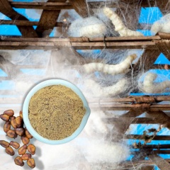 thức ăn từ tằm