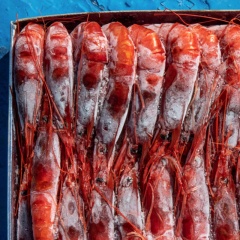 tôm đông lạnh