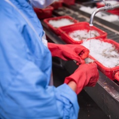 chế biến thủy sản