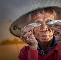 bản vẽ đạt giải - Fish Eyes