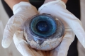 Đã xác định được nguồn gốc con mắt khổng lồ ở Mỹ