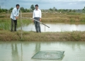 Thăng trầm làng cá Tân Thành