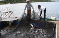 Triển vọng nuôi cá tầm tại Lâm Hà