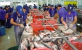Xuất khẩu thủy sản khởi sắc