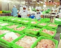 Xuất khẩu thủy sản khởi sắc trở lại