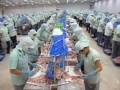 Năm 2013 - xuất khẩu cá tra vẫn chưa có nhiều bứt phá