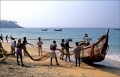 Ấn Độ: Xuất khẩu thủy sản chạm mốc 3,5 tỷ USD