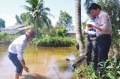 Cà Mau: Phá vỡ vùng ngọt vì con tôm