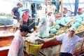 Kiên Giang tìm giải pháp gỡ khó cho ngành thủy sản