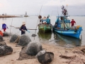 Kiên Giang mời gọi đầu tư nuôi trồng thủy sản, cảng cá