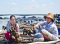 Nuôi thủy sản ở Gò Găng: Có ăn, nhưng còn bấp bênh