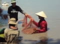 Cà Mau: Cần đẩy mạnh quản lý thuốc thú y thủy sản