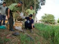 Nhức nhối nạn săn bắt động vật hoang dã ở U Minh Thượng