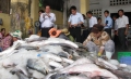 Phú Yên: Khuyến khích phát triển sản phẩm sạch