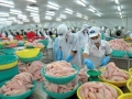 Xuất khẩu thủy sản khó phục hồi