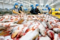 Châu Âu cảnh báo nhiều lô hàng thủy sản xuất khẩu của Việt Nam