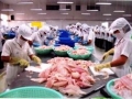 Top các doanh nghiệp xuất khẩu tôm, cá tra lớn nhất quý 1/2012