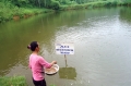 Nghệ An: Triển khai Dự án nuôi cá rô phi theo hướng VietGap gắn với bao tiêu sản phẩm