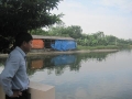 Lập làng thủy sản nước ngọt